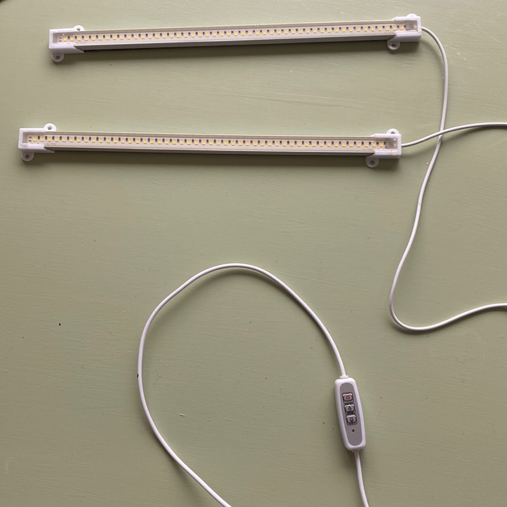 Timed grow light
